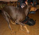 играем