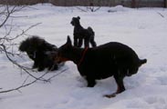 весенняя прогулка