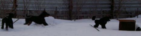 игры