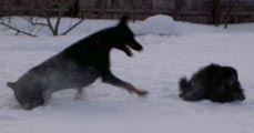 щас съем!