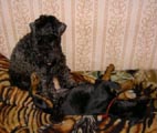 играем на кровати