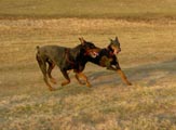 игры
