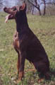 1 мая 2002
