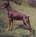 май 2002