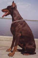 май 2002