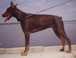 май 2002