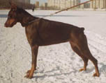 февраль 2003