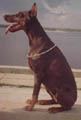 июль 2003