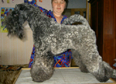 24 мая 2007