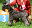 Москва сентябрь 2006