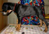 12 июня 2006