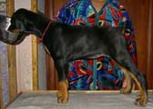 16 июня 2006