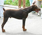 июль 2005