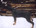 4 месяца