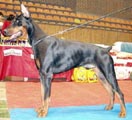 Юный Чемпион России