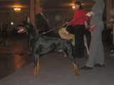 ЛПП НООЛС 2005